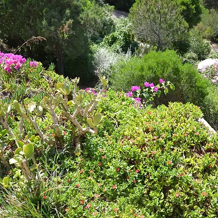 Stunning In Vecchio, South Corsica, W Garden & Sea View, S Villa Porto-Vecchio (Corsica)